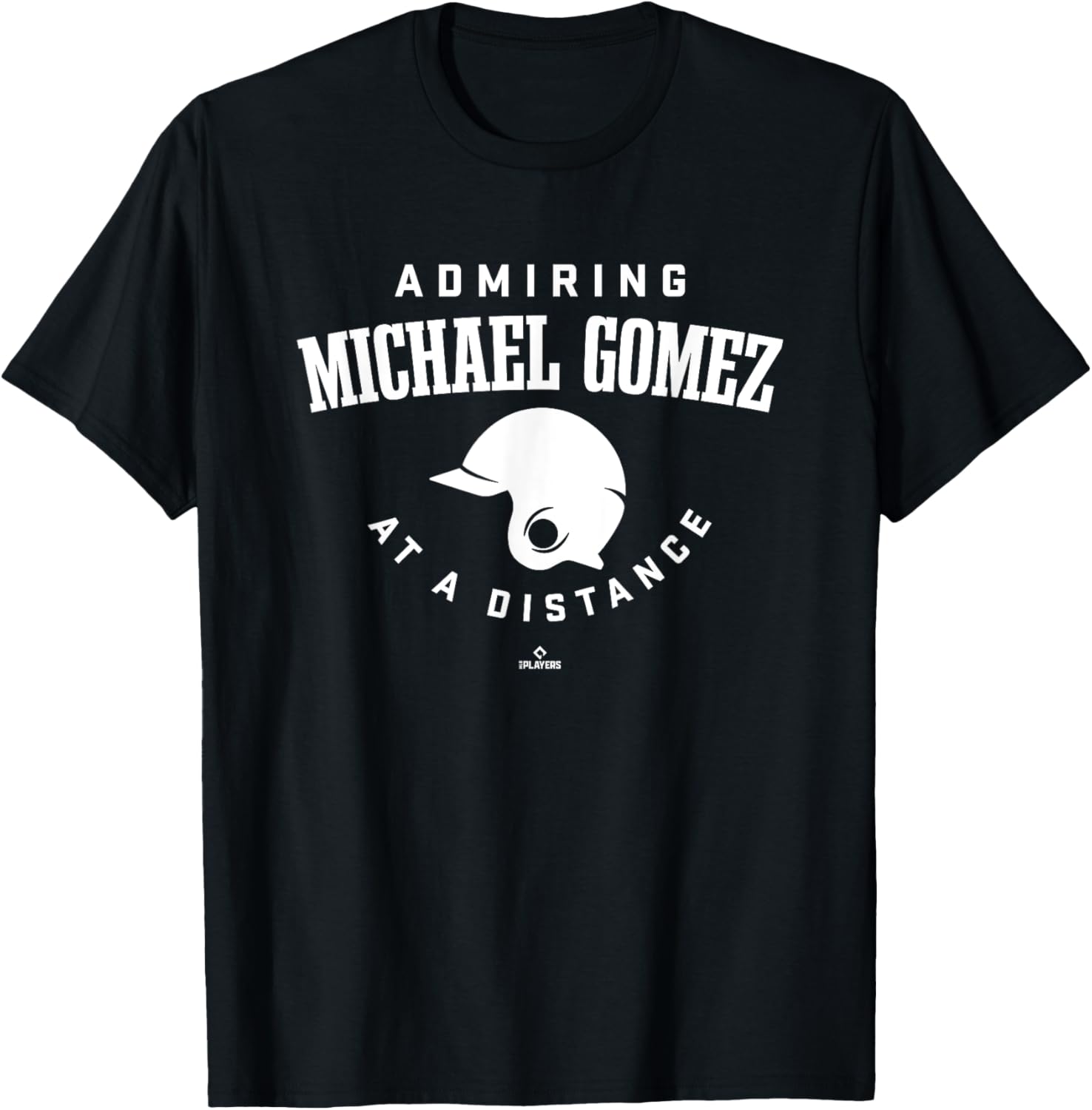 Admiring at a Distance Michael Gomez Prospect Baseball Fan