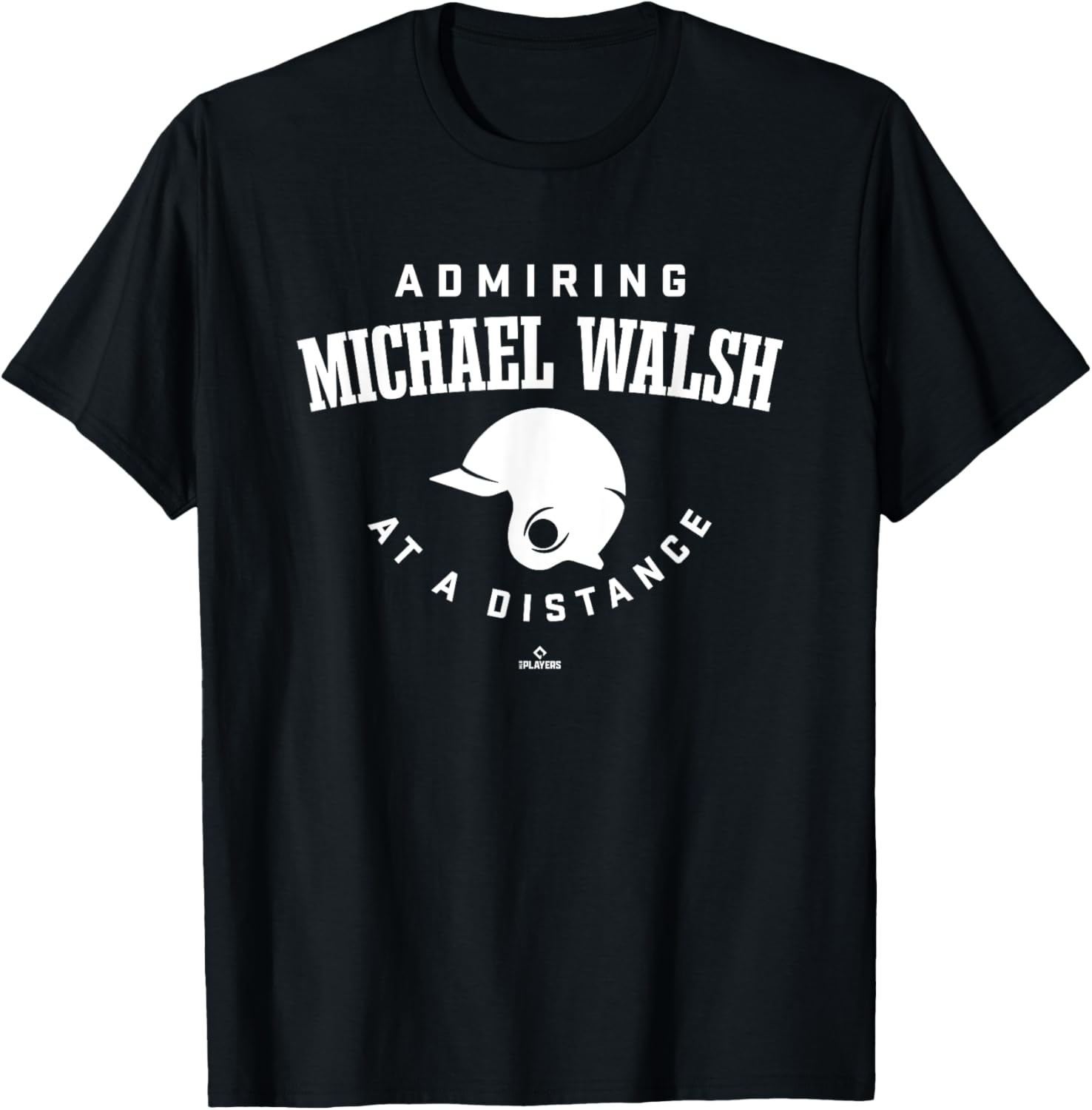 Admiring at a Distance Michael Walsh Prospect Baseball Fan