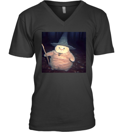 Cheeseball The Wizard Cat Meme V Neck T Shirt