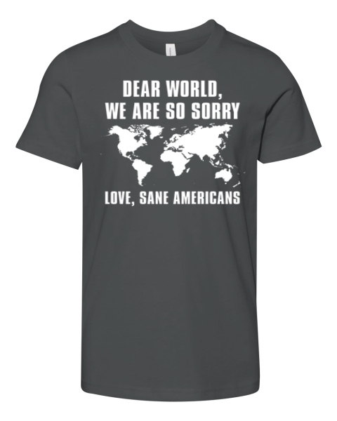 Dear World We Are So Sorry Love Sane Americans Premium Youth T Shirt