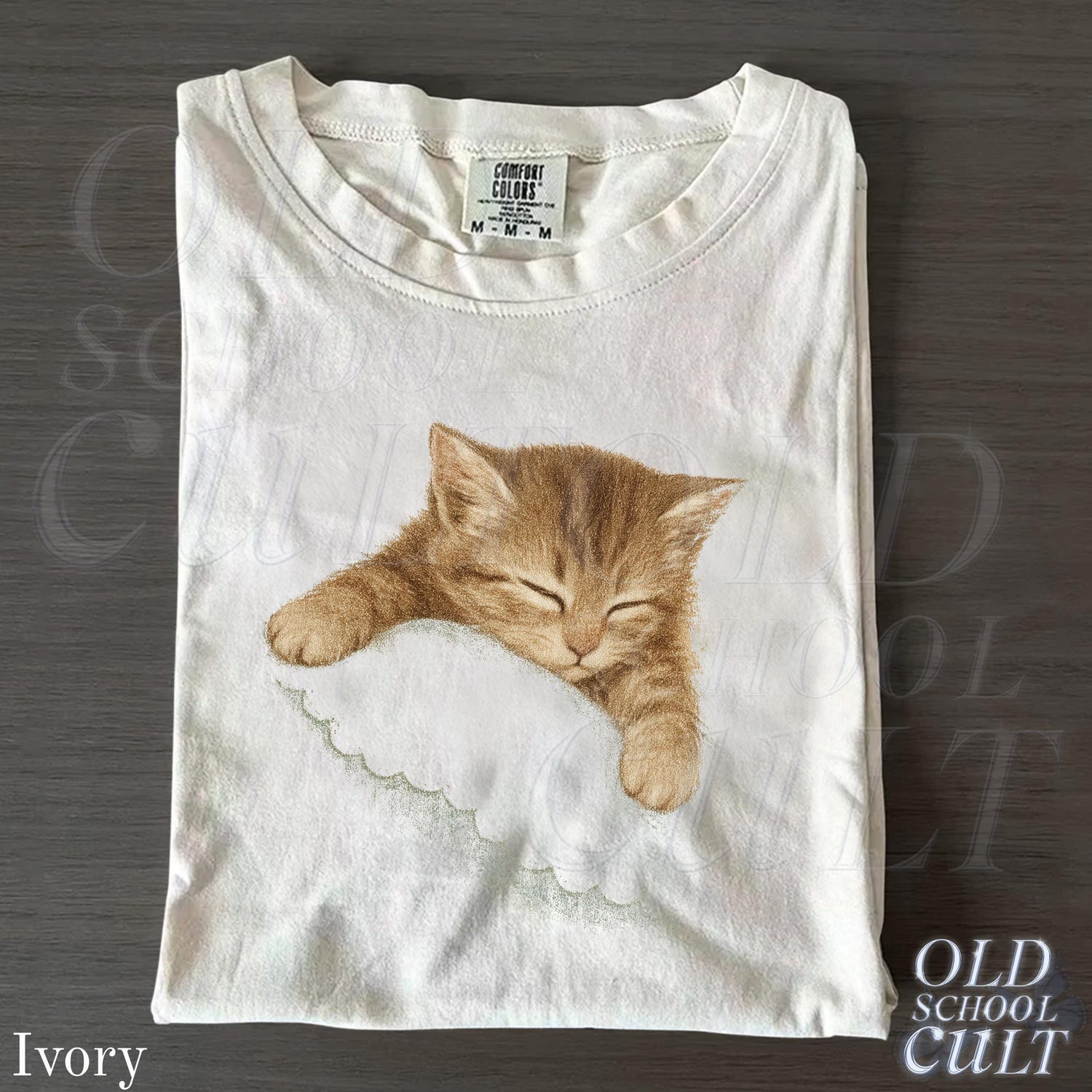 Sleeping Kitten Graphic T-Shirt, Vintage Cat Lover Tee, Comfort ColorsÂ® Ivory Shirt, Cute Cozy Cat Mom Top, Retro Animal Lover Gift