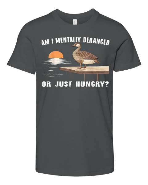 Am I Mentally Deranged Or Just Hungry Premium Youth T Shirt