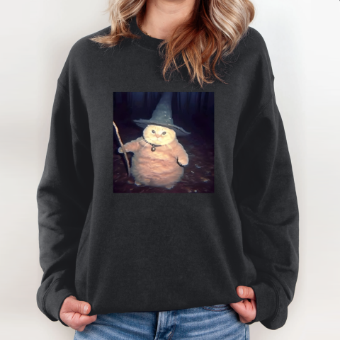 Cheeseball The Wizard Cat Meme Sweatshirt