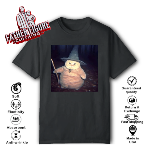 Cheeseball The Wizard Cat Meme T Shirt