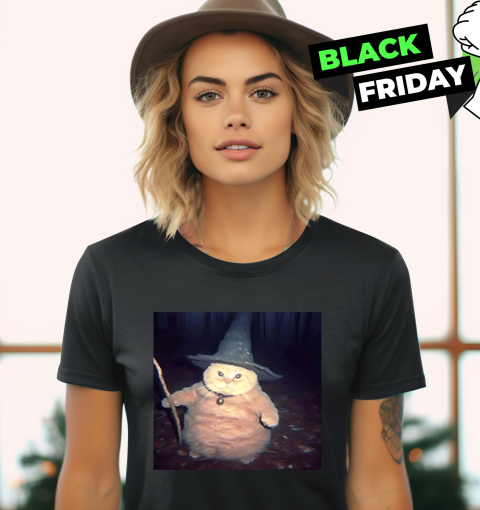 Cheeseball The Wizard Cat Meme Women039S T Shirt