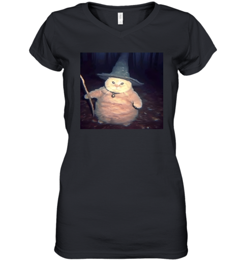 Cheeseball The Wizard Cat Meme Women039S V Neck T Shirt