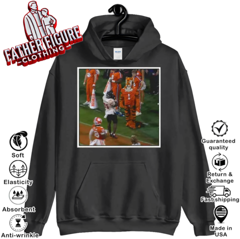 Clemson Tigers Loss To Louisville Cardinals Hoodie