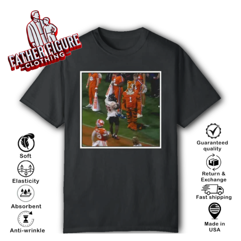 Clemson Tigers Loss To Louisville Cardinals T Shirt